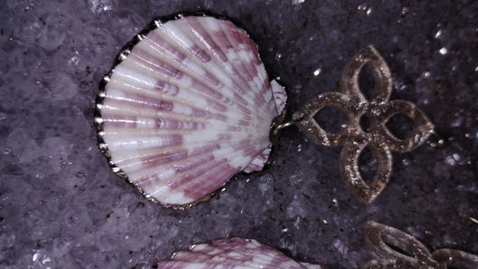 Kokum seashell blossom earrings
